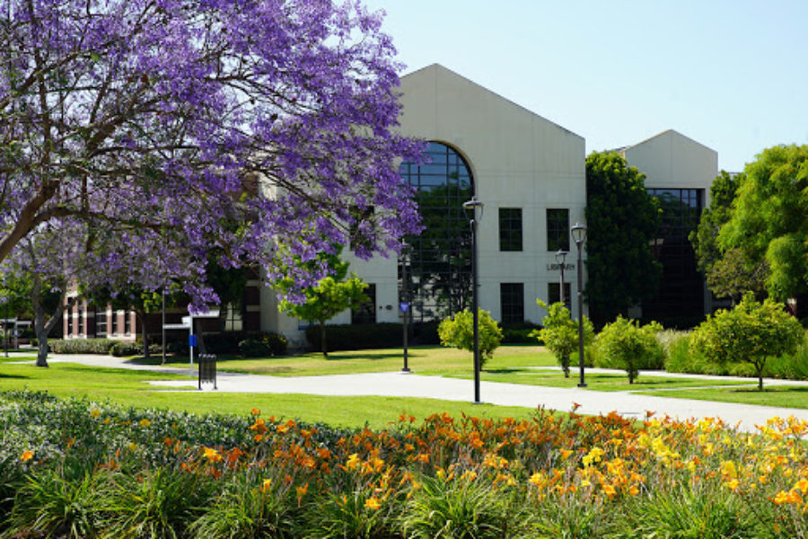 Irvine Valley College Partners with blueviolet Networks to Improve Campus Safety